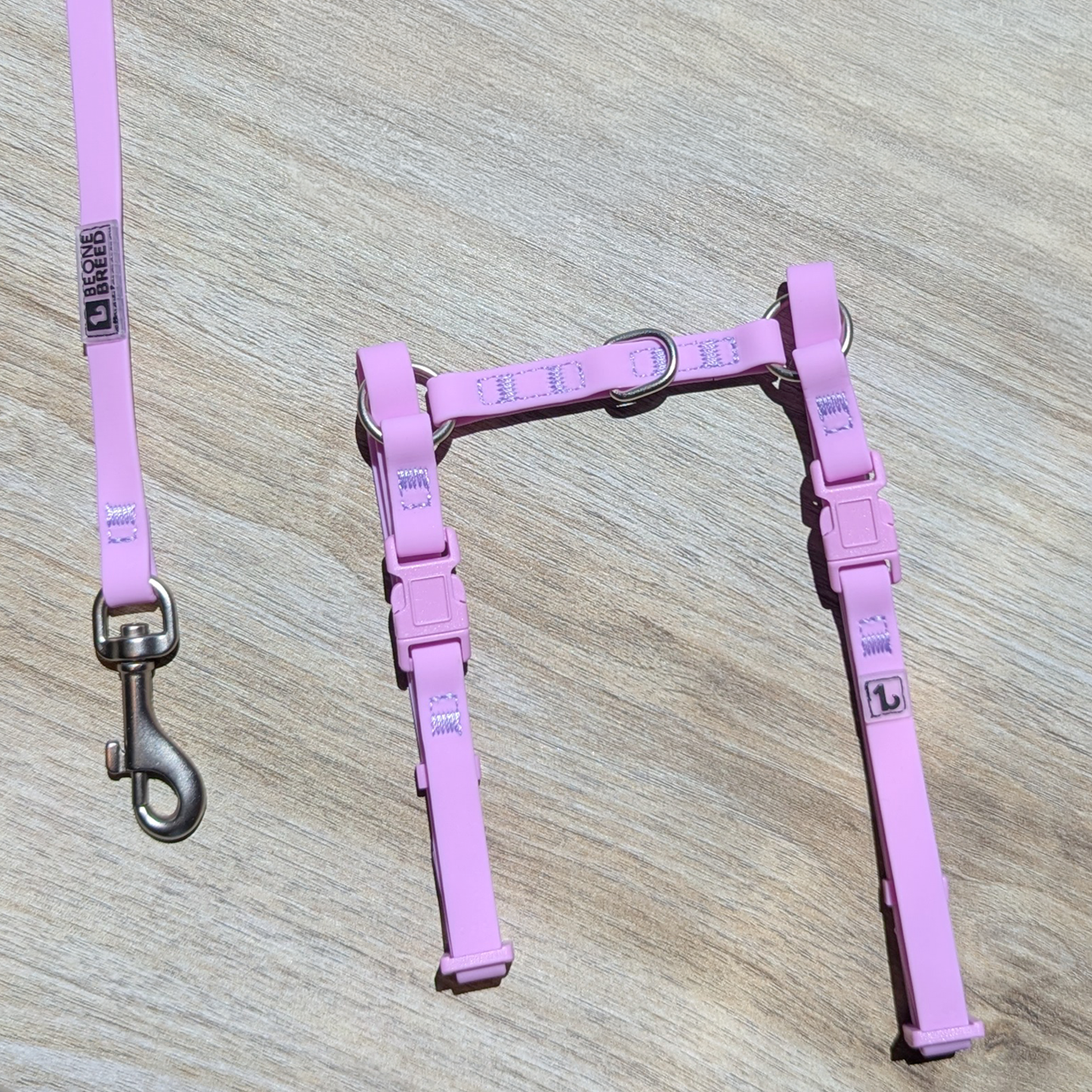 Silicone cat harness and leash kit