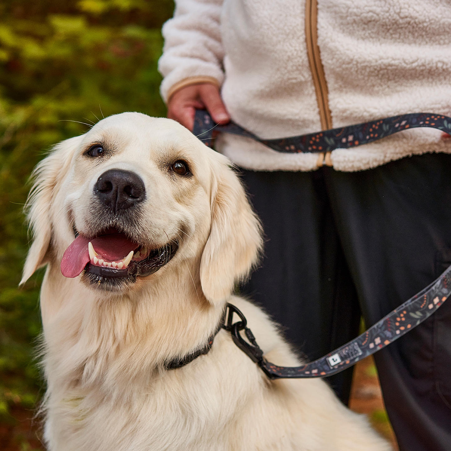 Multifunction silicone dog leash