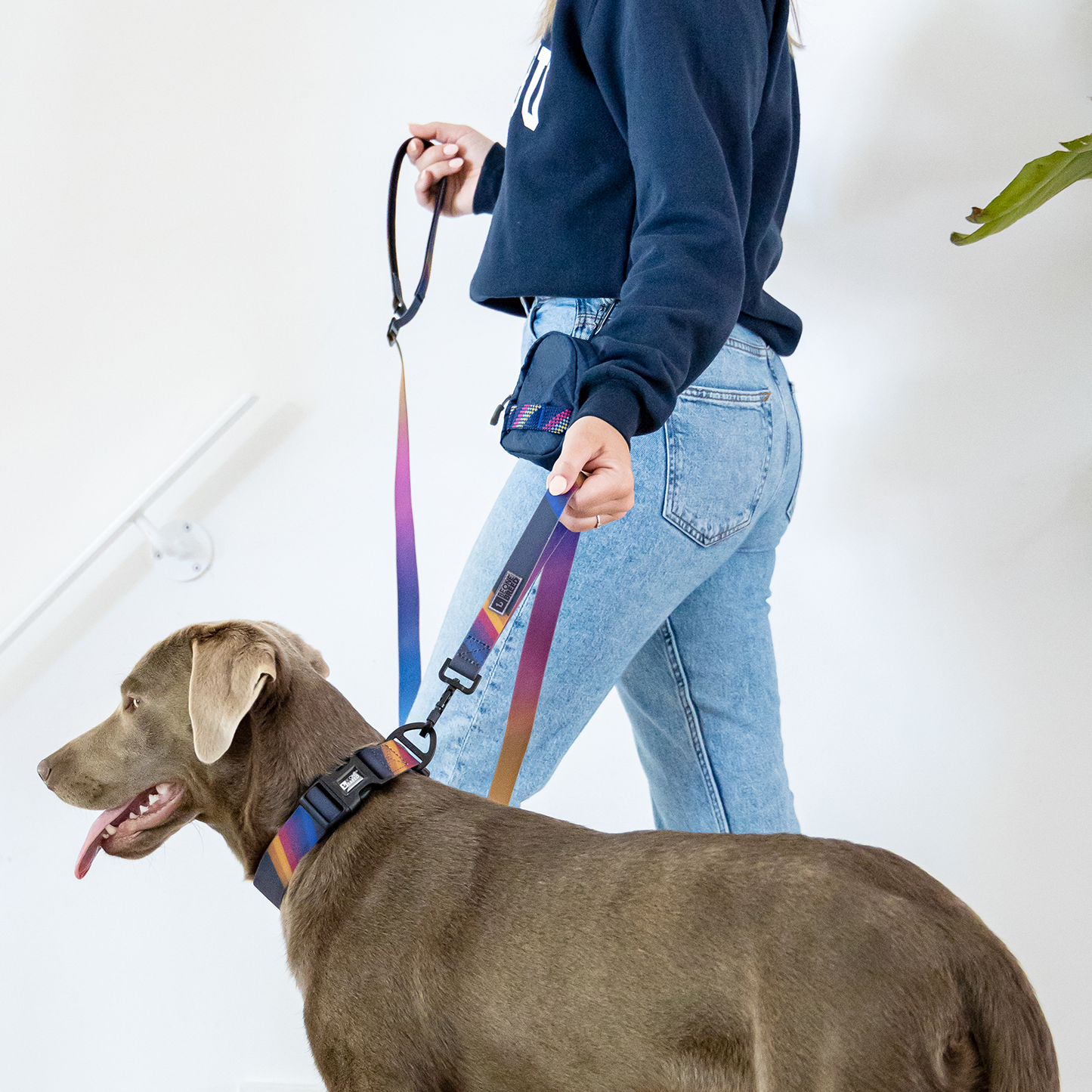 Silicone leash for dog, nostalgia style