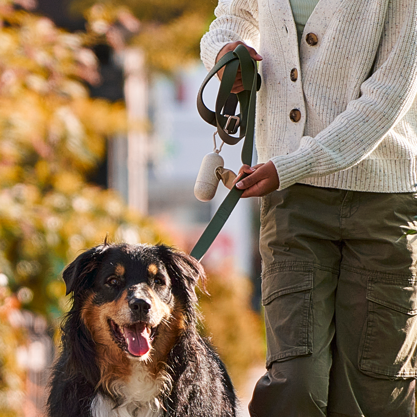 Laisse multifonction en silicone pour chien