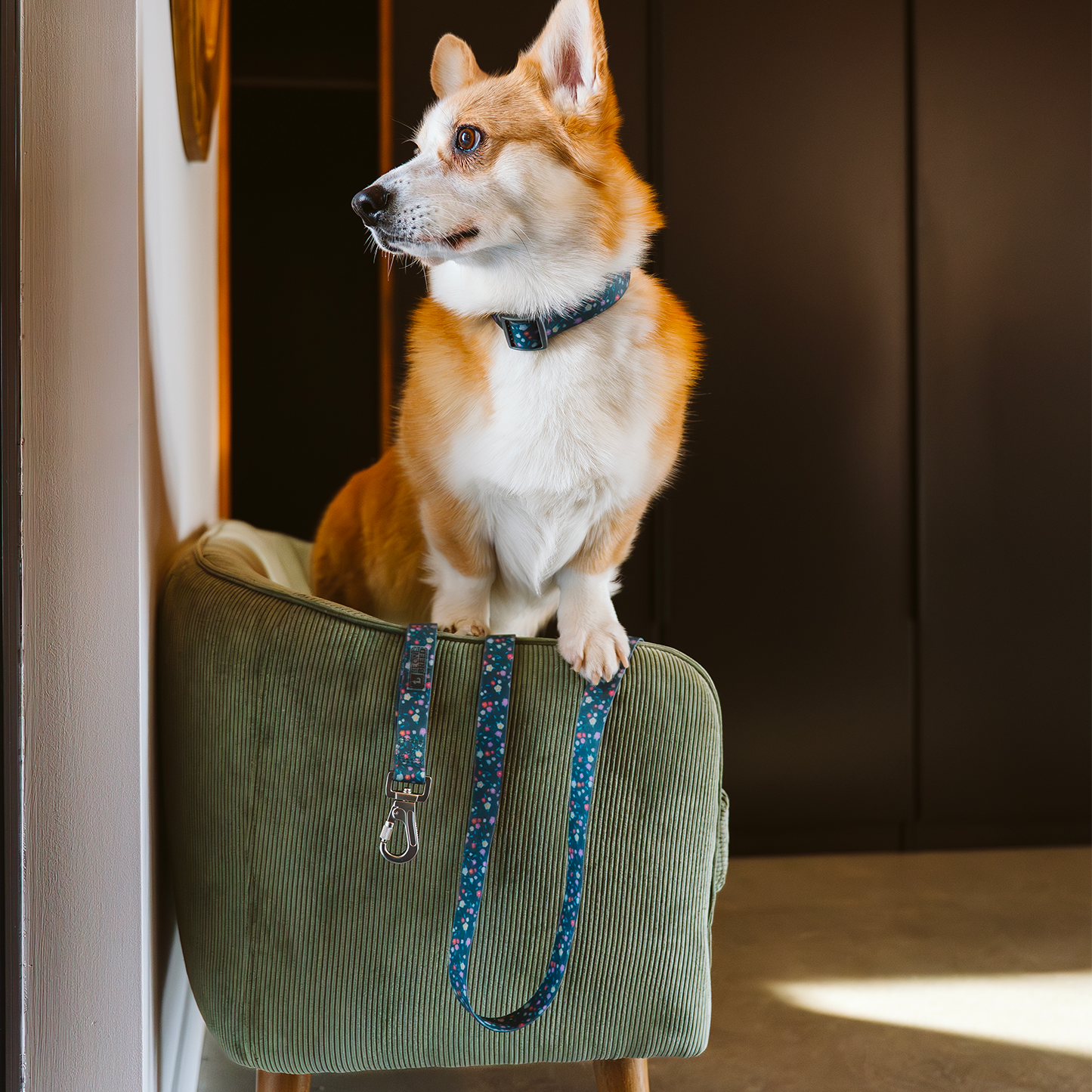 Multifunction silicone dog leash