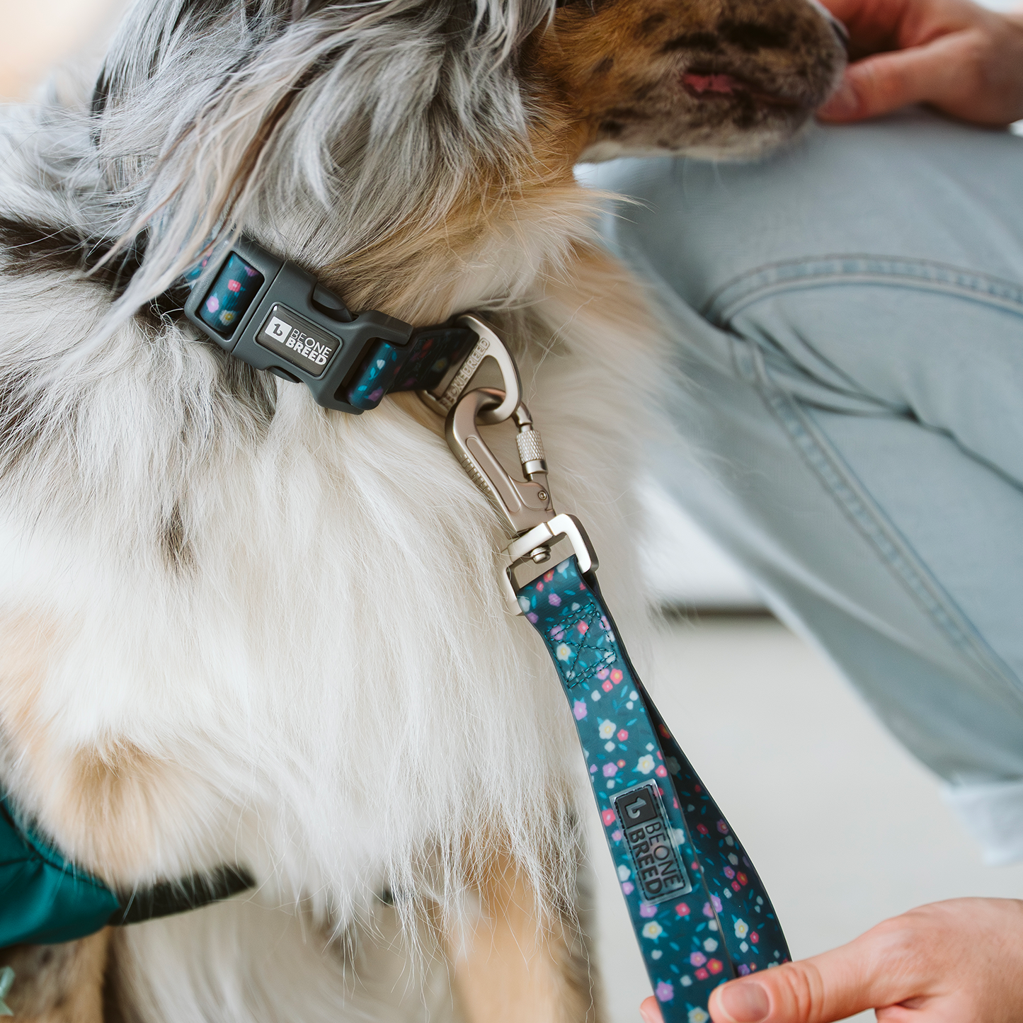 Multifunction silicone dog leash