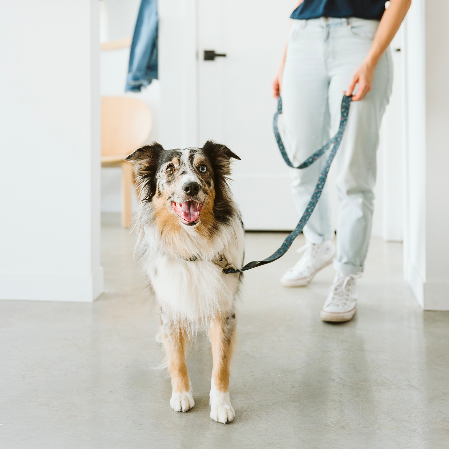 Multifunction silicone dog leash