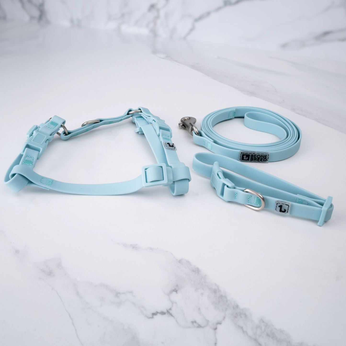 Lightweight silicone small dog walking kit