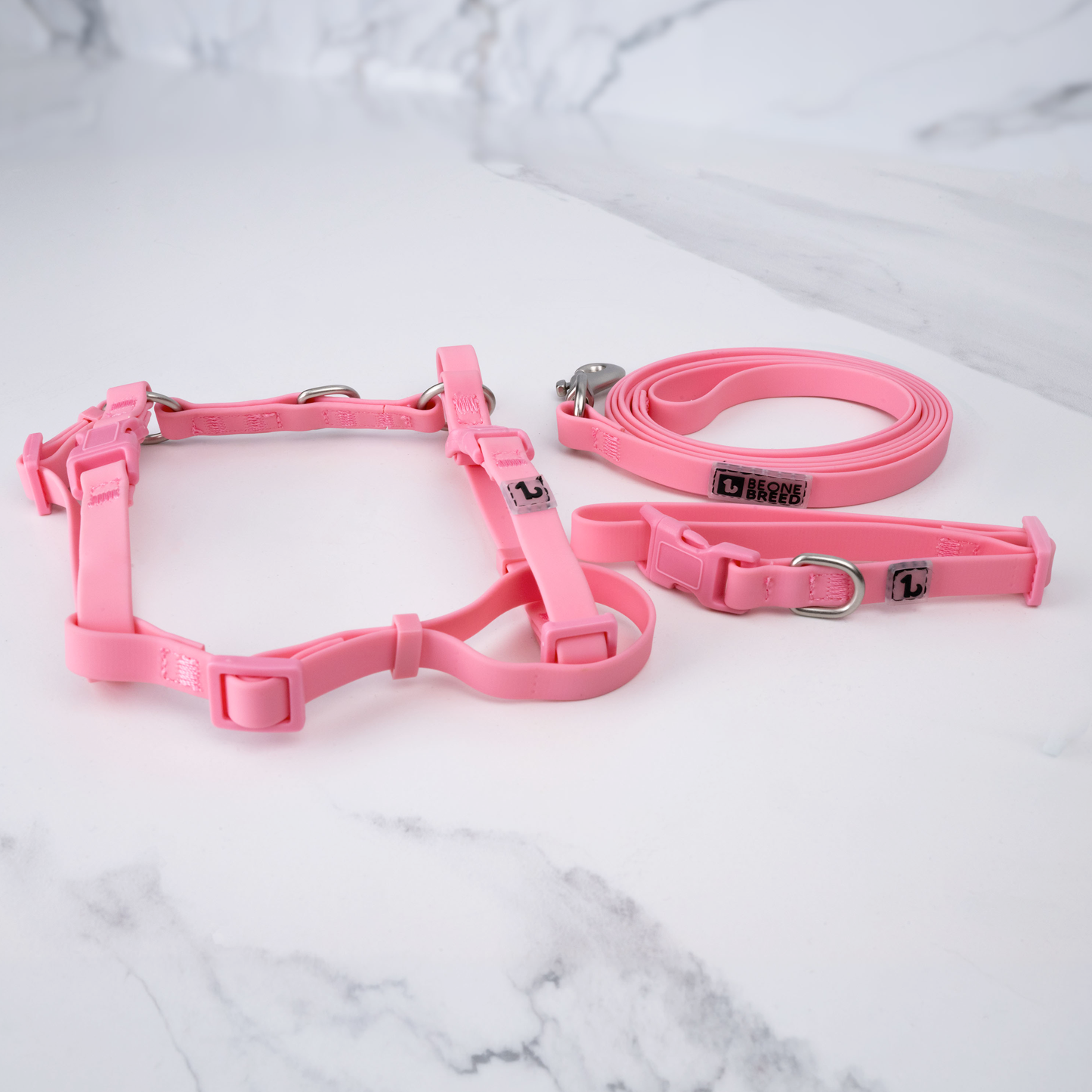 Lightweight silicone small dog walking kit
