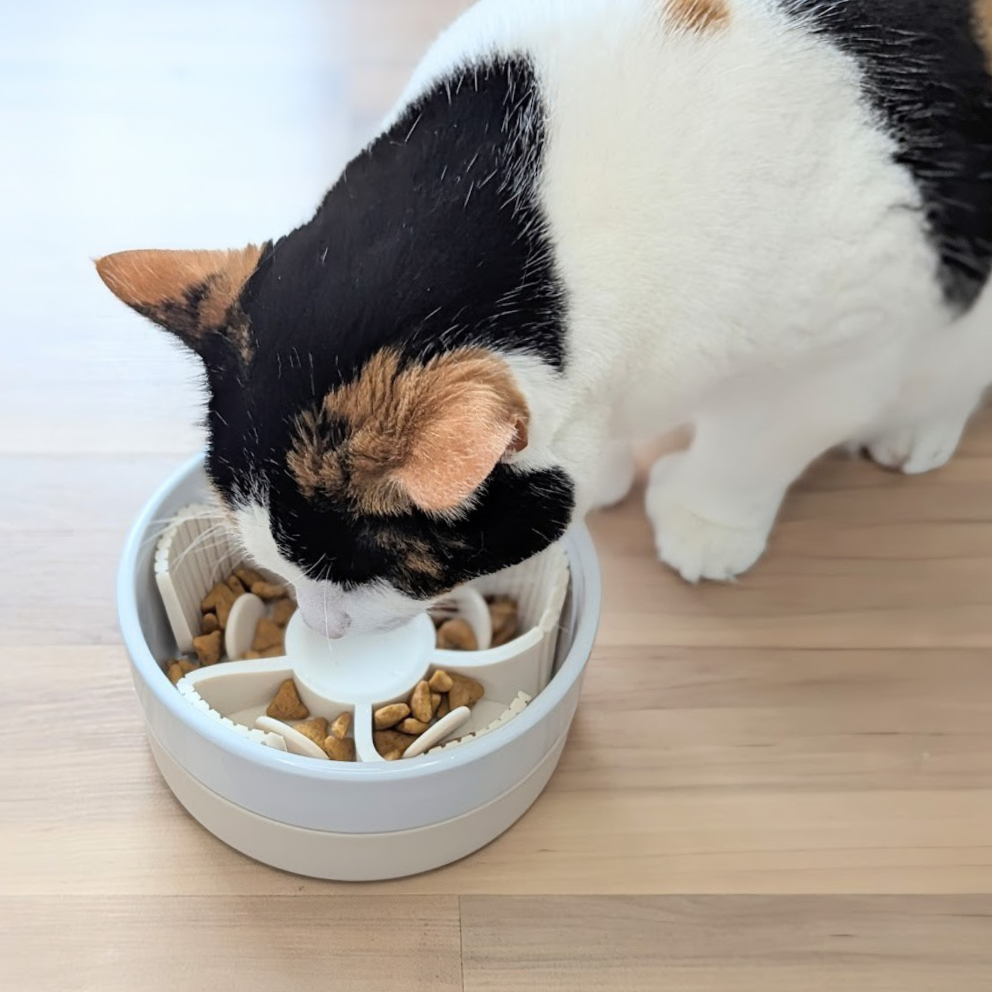 Silicone slow feeder insert