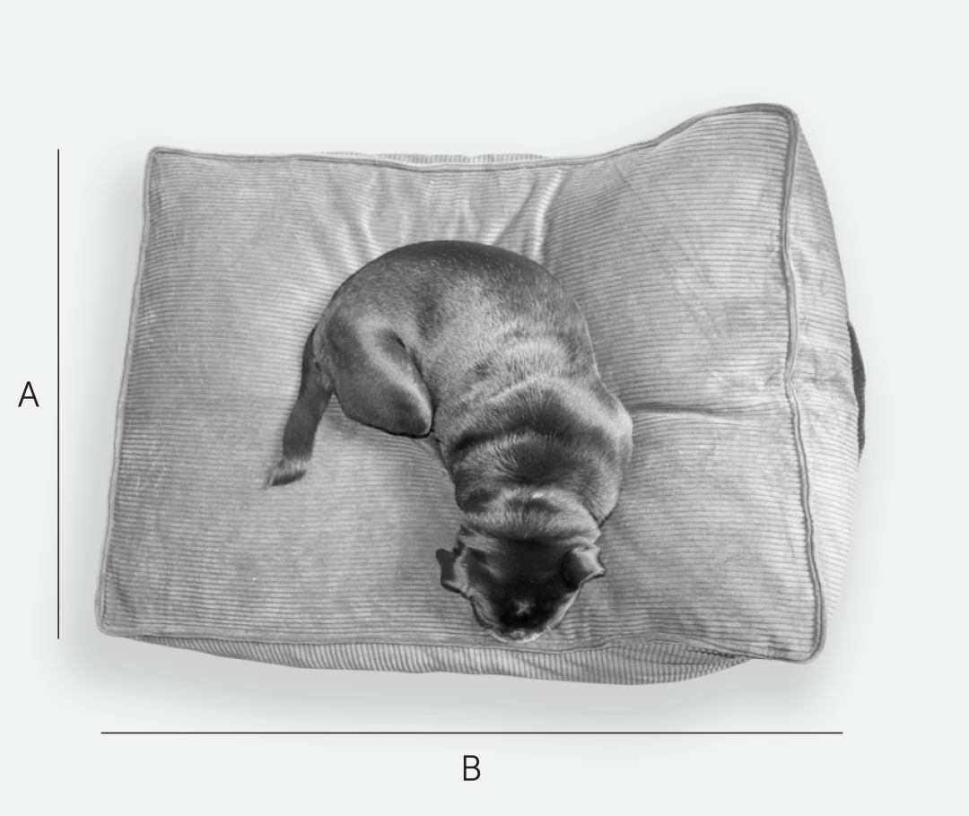 Supplementry therapet dog bed cover