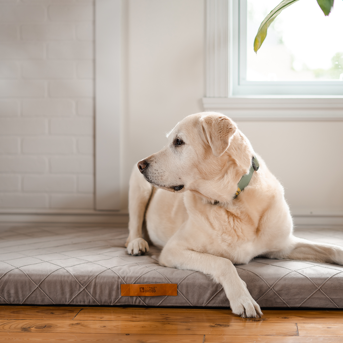 Sky Diamond bed spare cover 2 sizes BeOneBreed