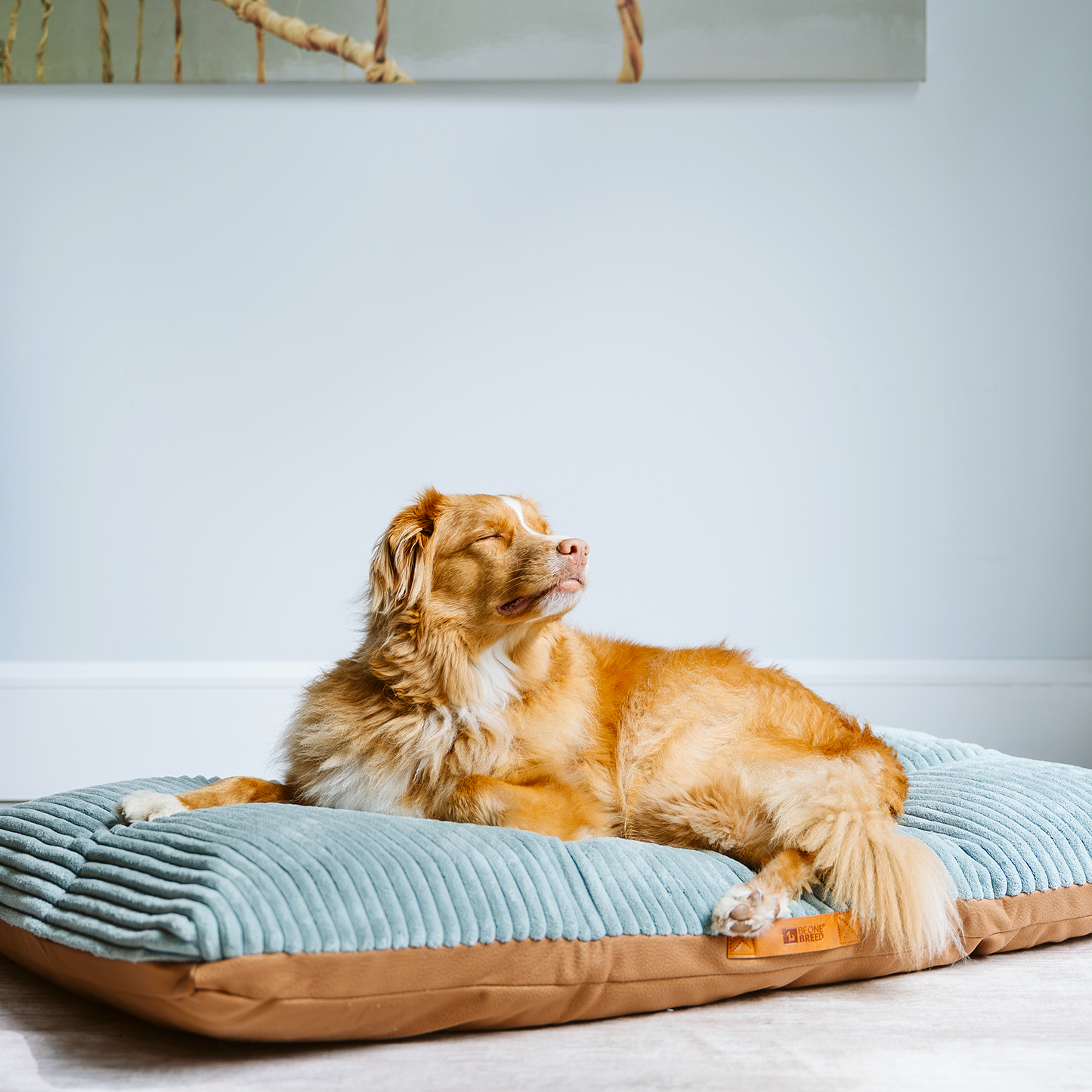 Sky/Diamond bed spare cover, 2 sizes