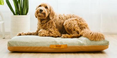 Sky Bed