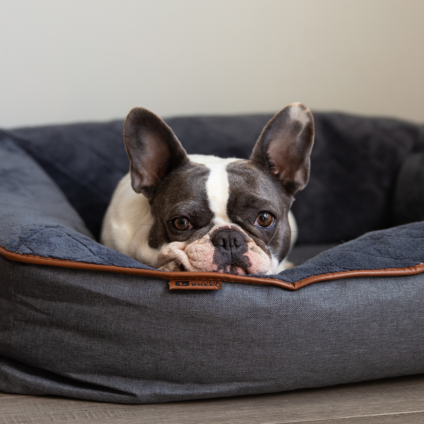 Comfy bed for dog, dark gray