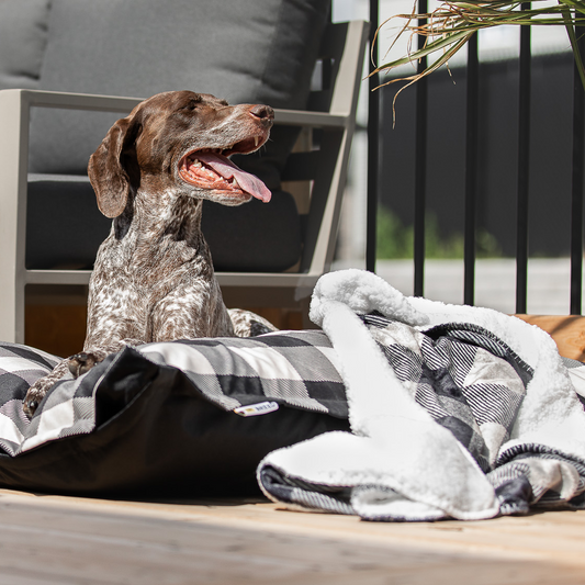Dogs Blankets BeOneBreed