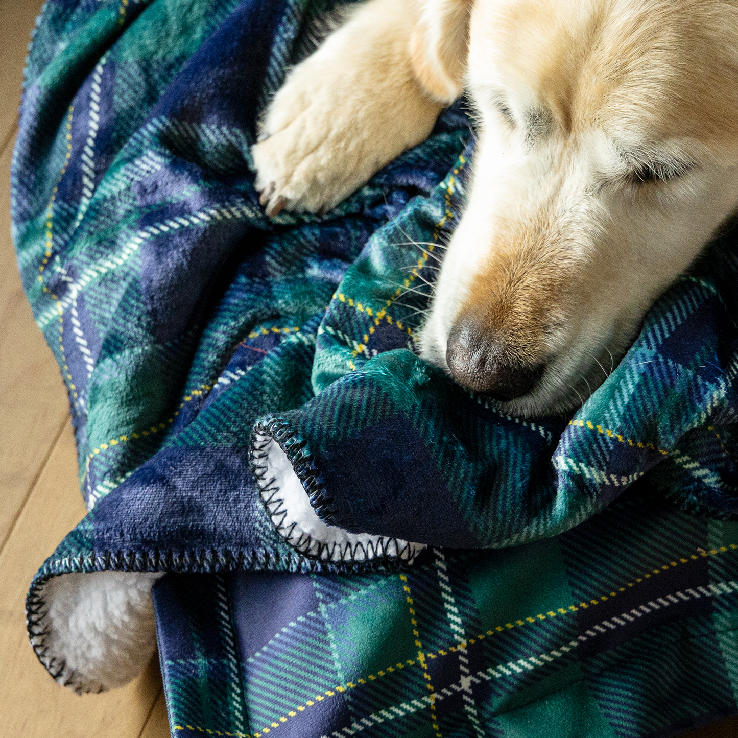 Sherpa soft blanket for pet, varsity plaid