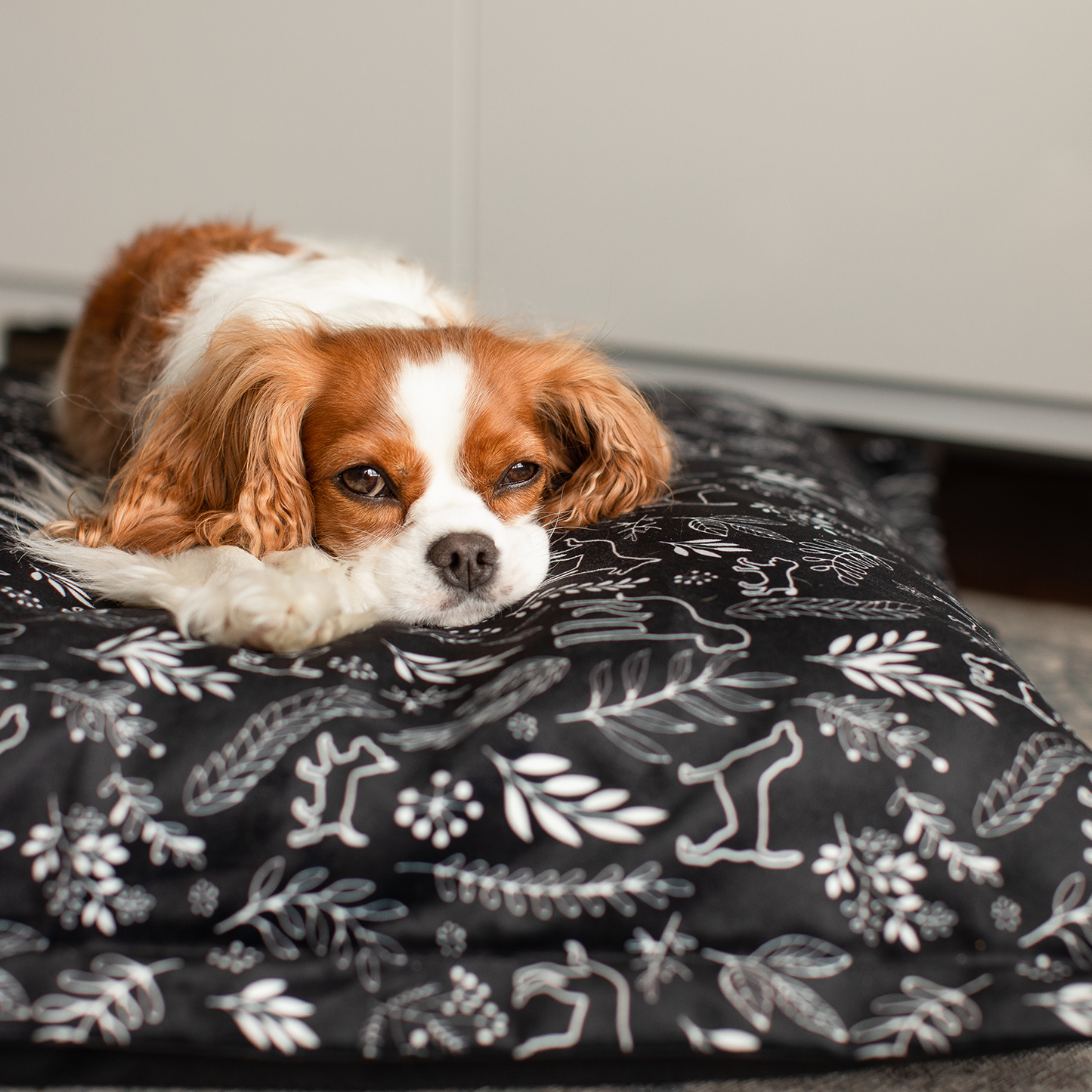 Dog bed top covers canada
