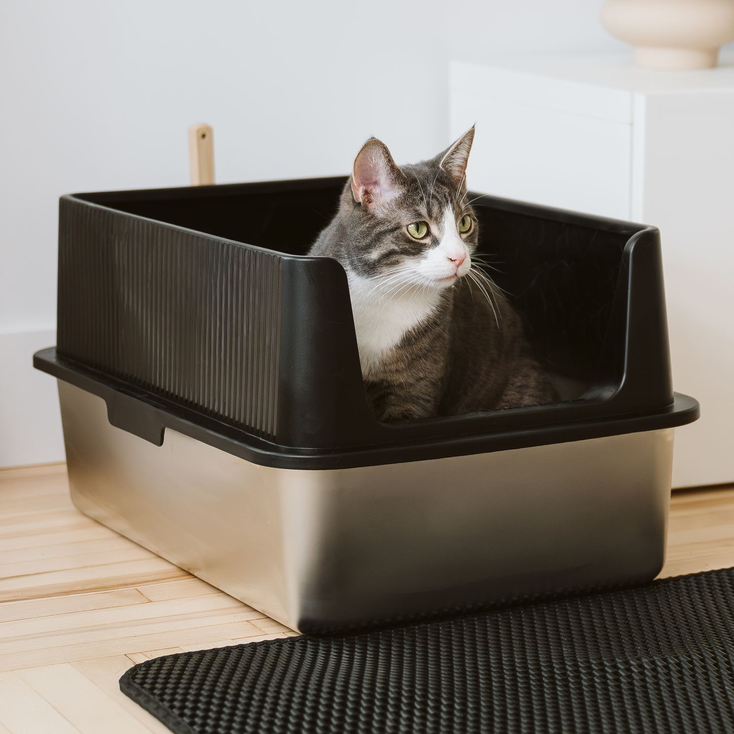 Pelle à litière robuste avec support