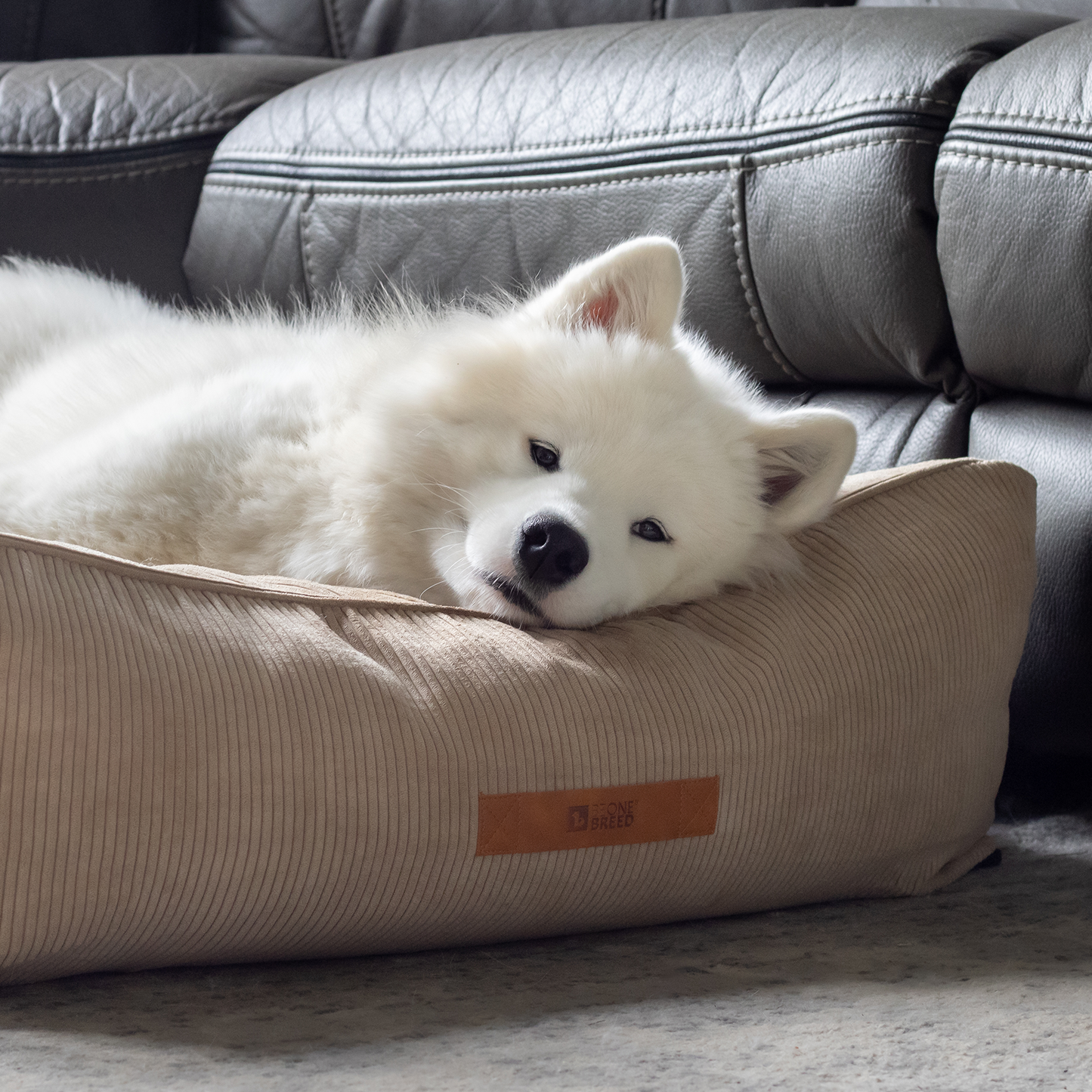Memory foam dog bed with headrest, beige