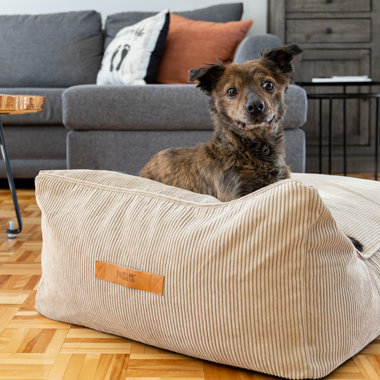 Large dog beds clearance deals