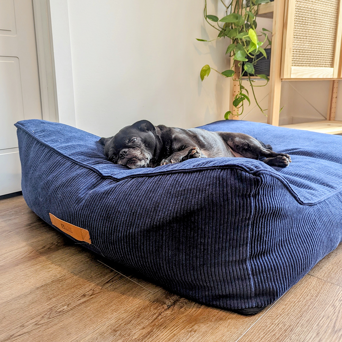 Navy blue 2025 dog bed