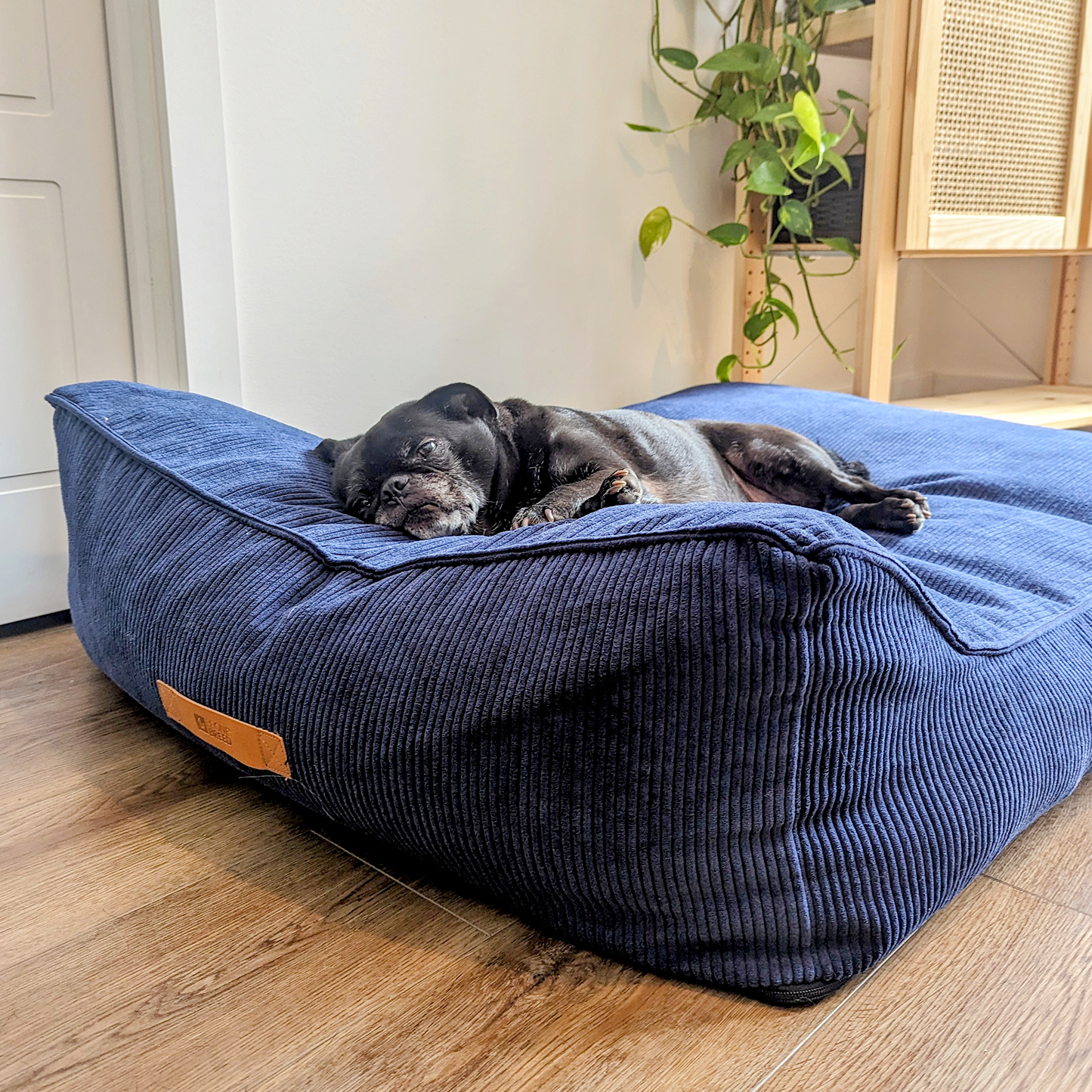 Memory foam dog bed with headrest, navy blue