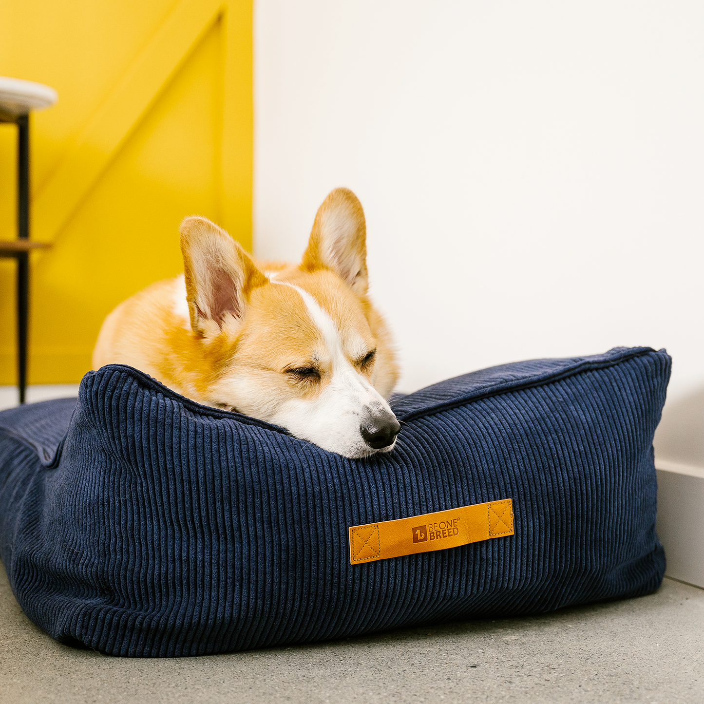 Ralph and deals co dog bed