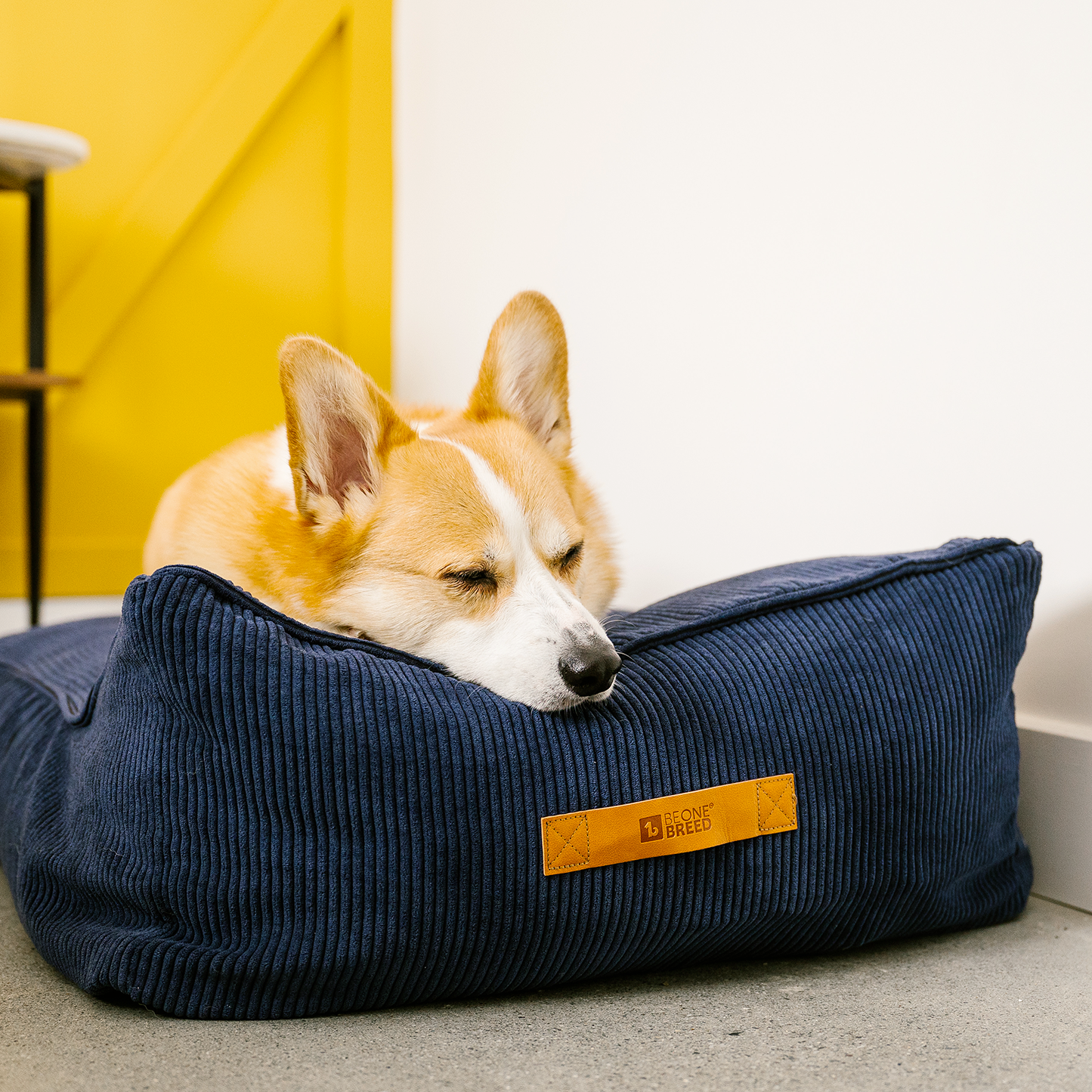 Memory foam dog bed with headrest, navy blue