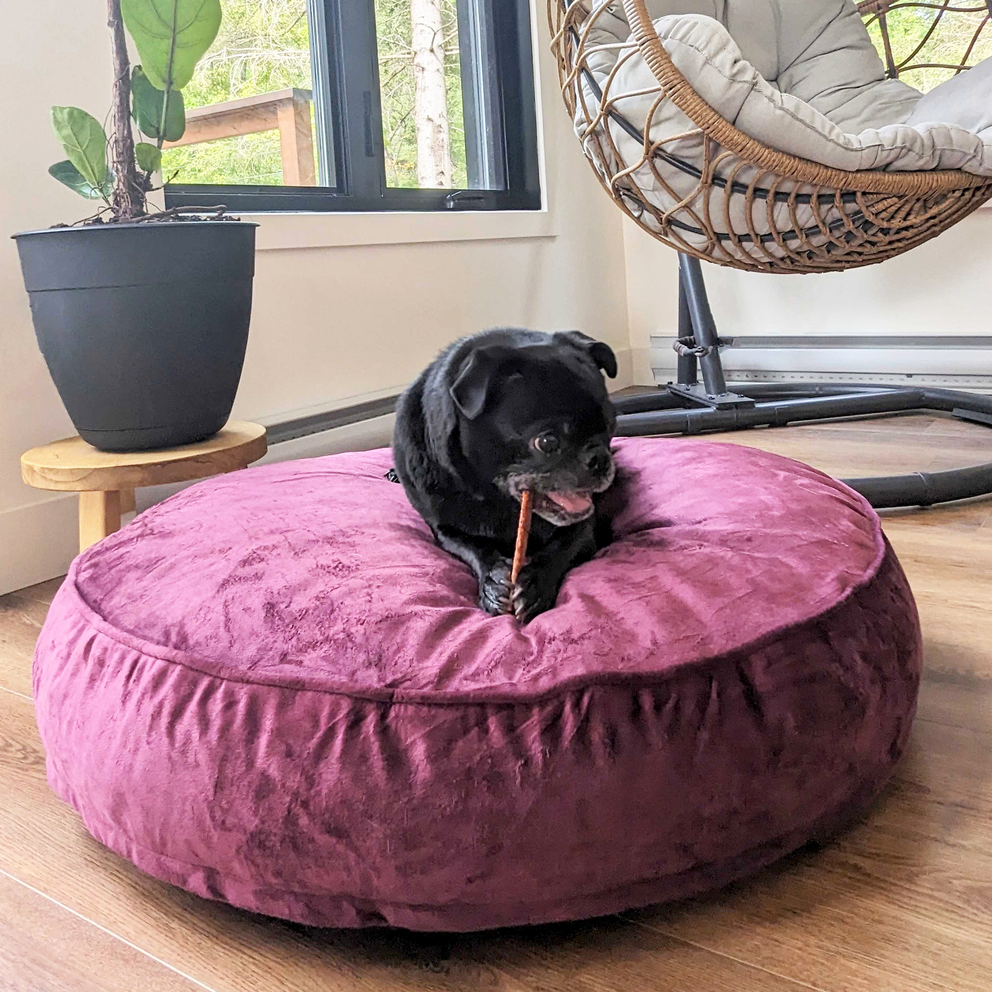 Memory foam dog bed, fig color