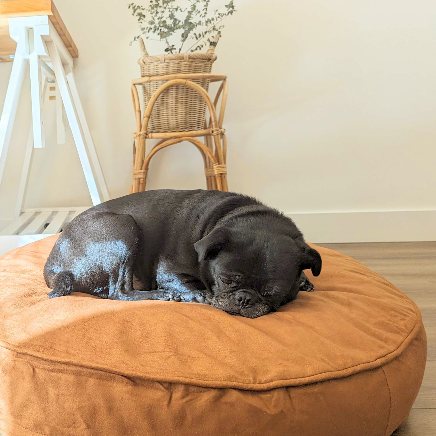 Memory foam dog bed, pecan color