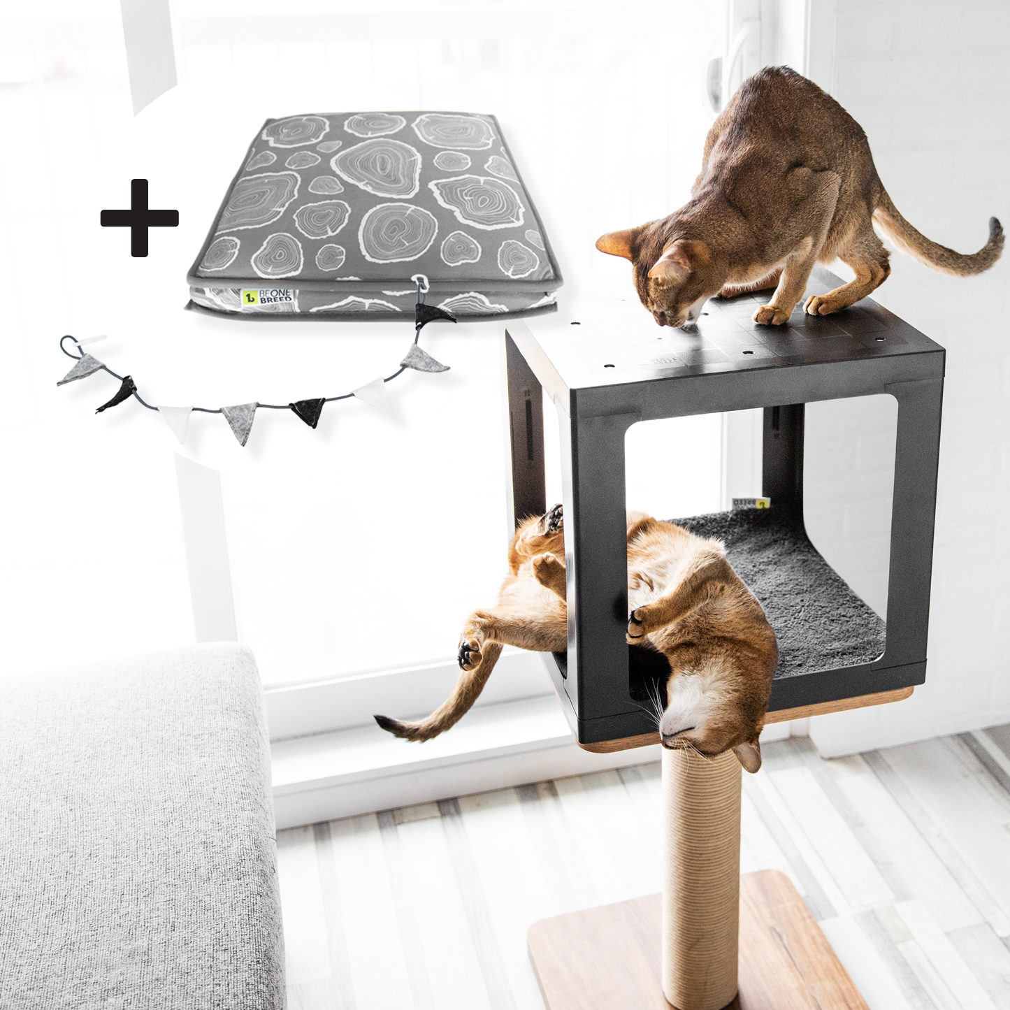 Ultimate savings bundle HabikattEVO Classic Katt3 bed Party