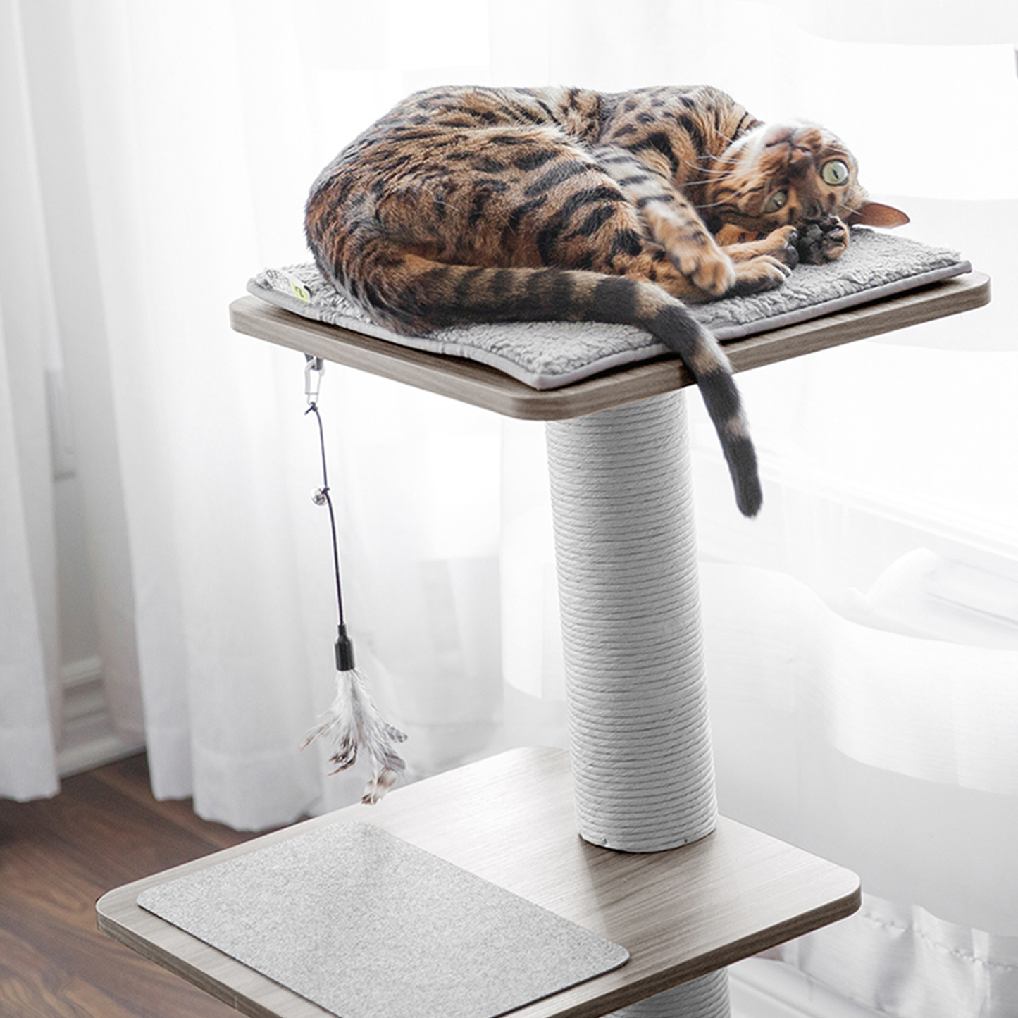 Ultimate savings bundle EVO Classic Katt3 bed Party