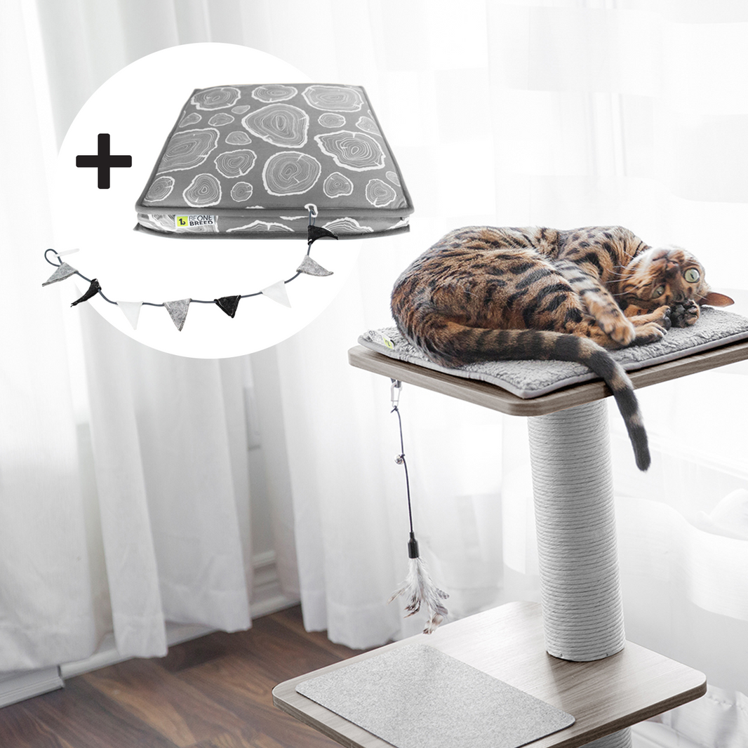Cat trees – BeOneBreed