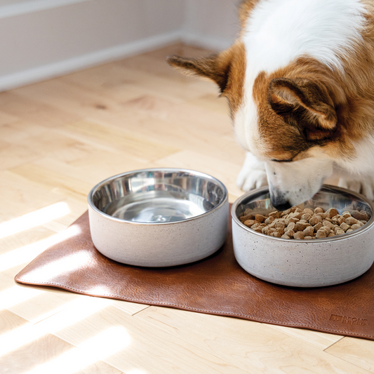 Dogs Bowls BeOneBreed