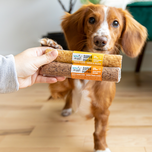 Are Dog Treats Made In Canada Safe are-dog-treats-made-in-canada-safe