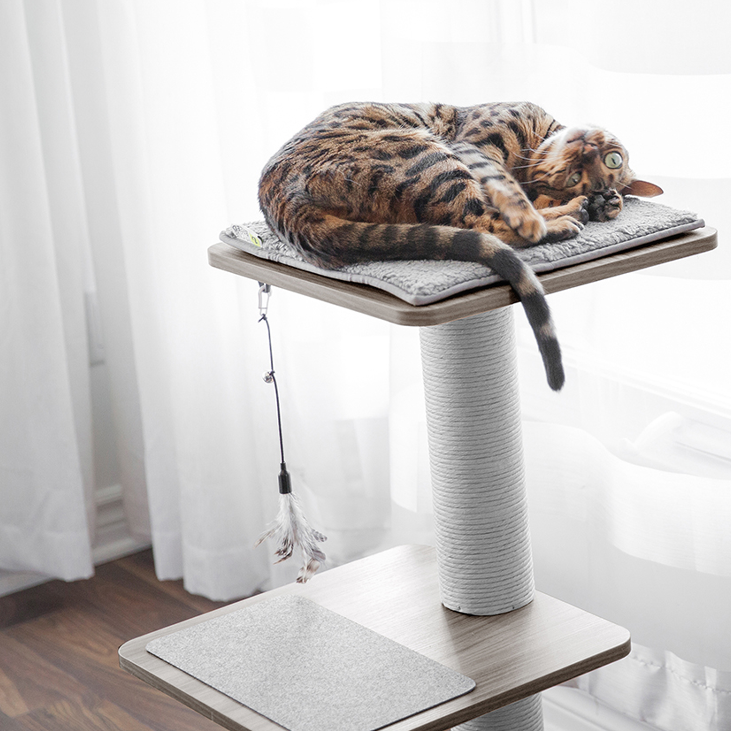 Tree scratching post for cats best sale
