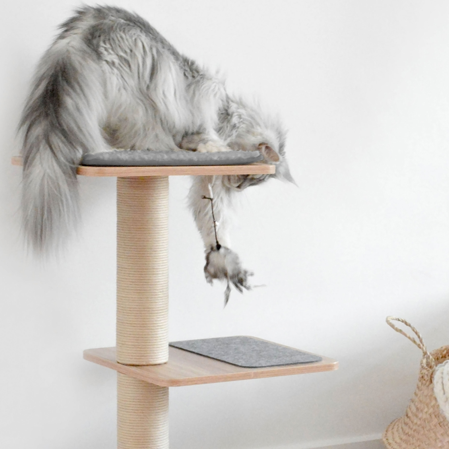 Cat tree deals next day delivery