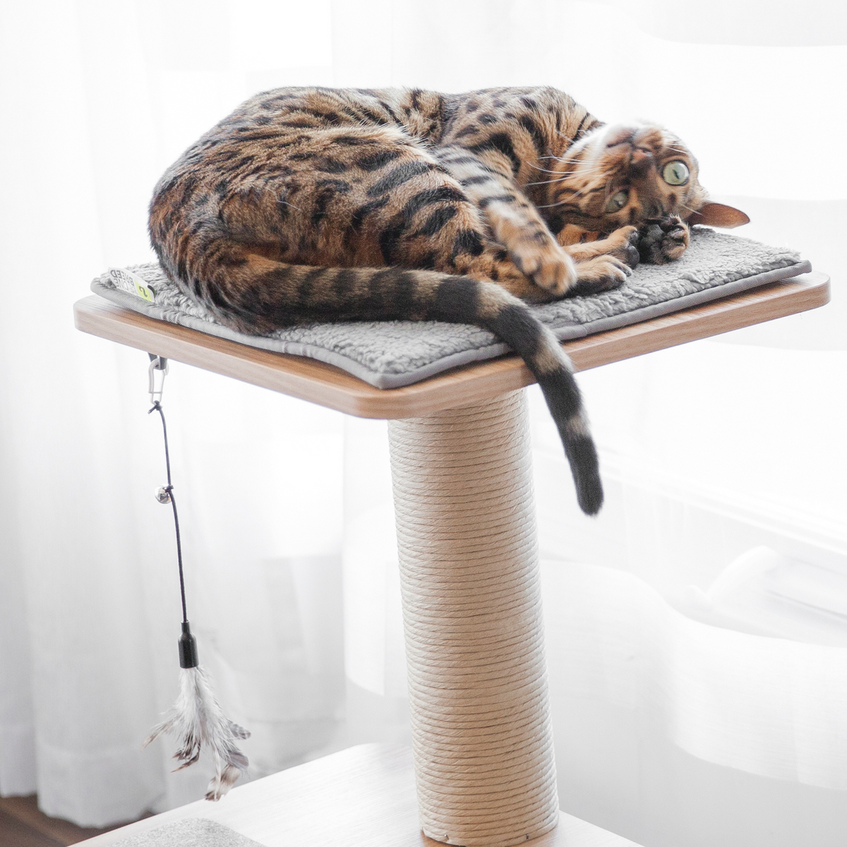 Additional Katt3EVO mat BeOneBreed