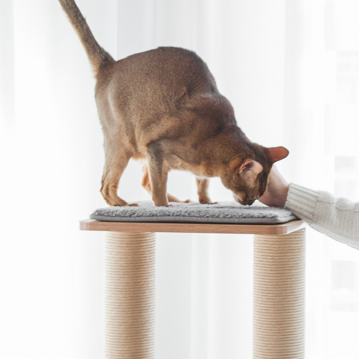 Additional Katt3EVO mat BeOneBreed