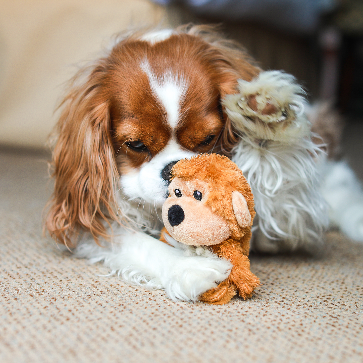 Plush toy for puppy dog, monkey style