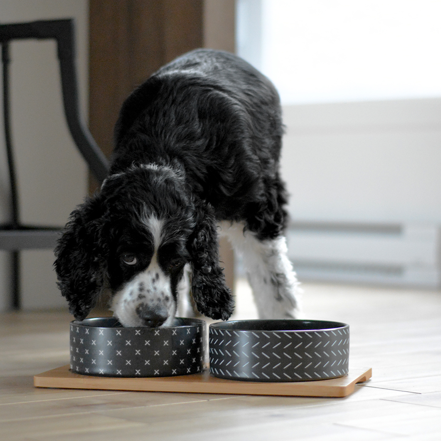 Ceramic bowls on bamboo base for pet 4 sizes BeOneBreed