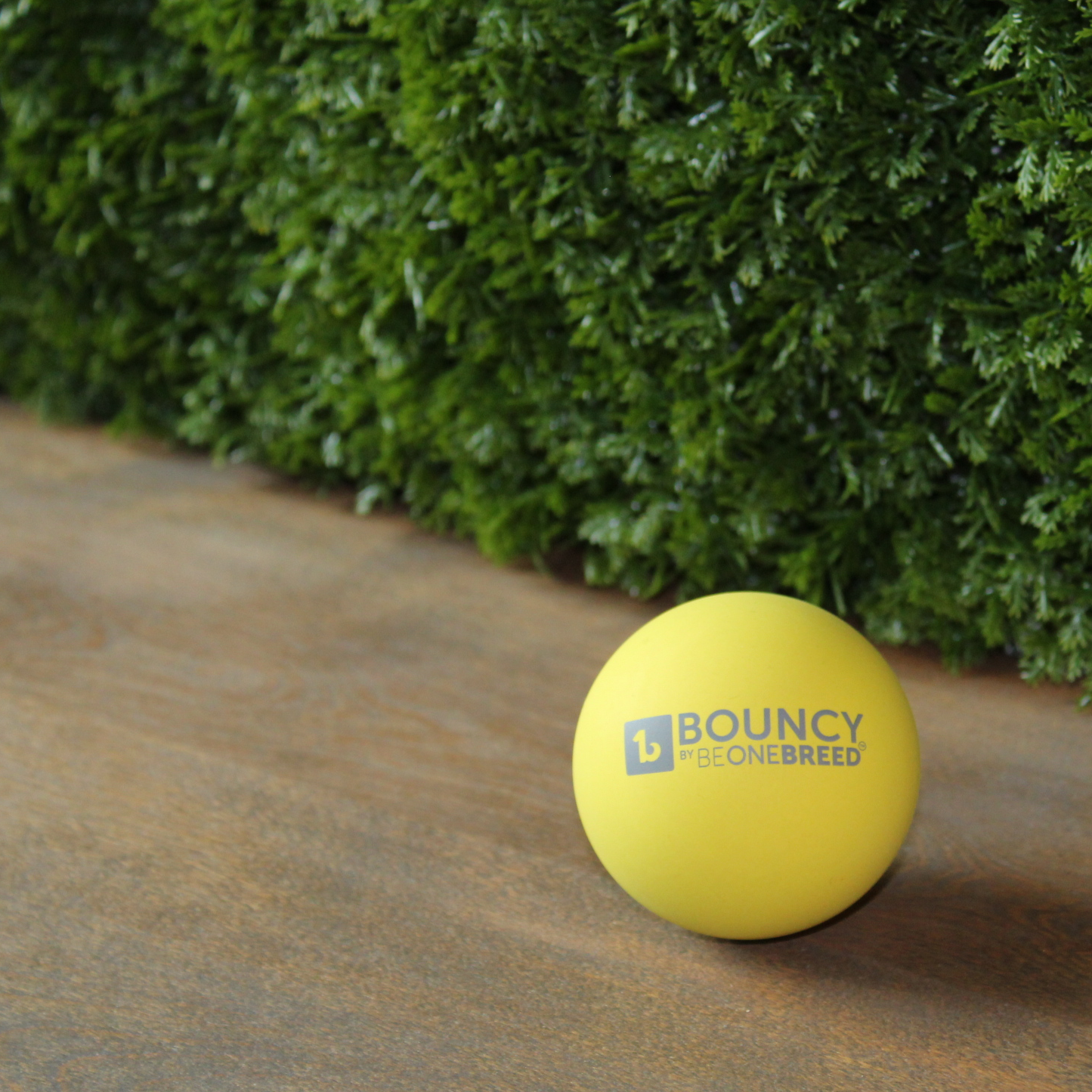 Dog bouncing ball deals