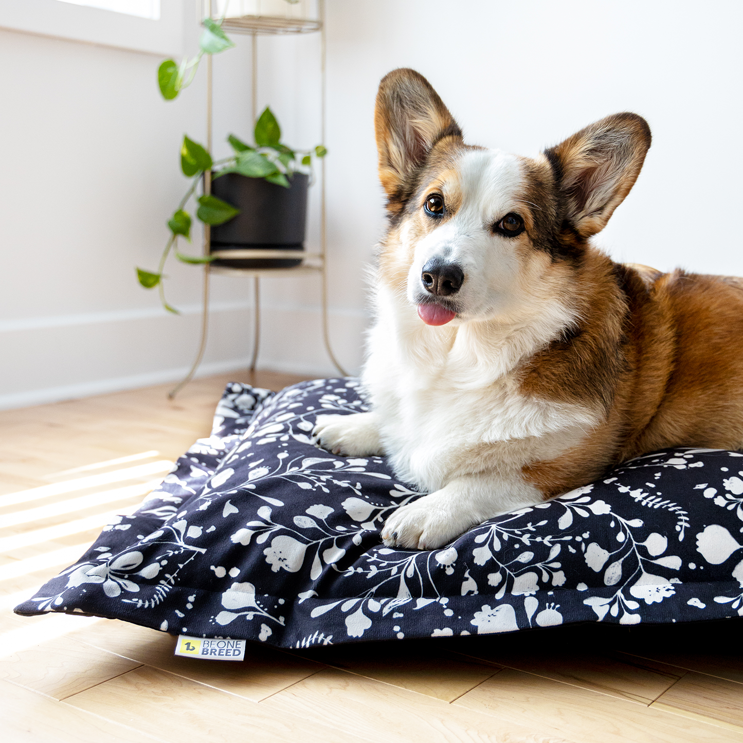 Supplementry cloud dog bed cover, black cream flowers
