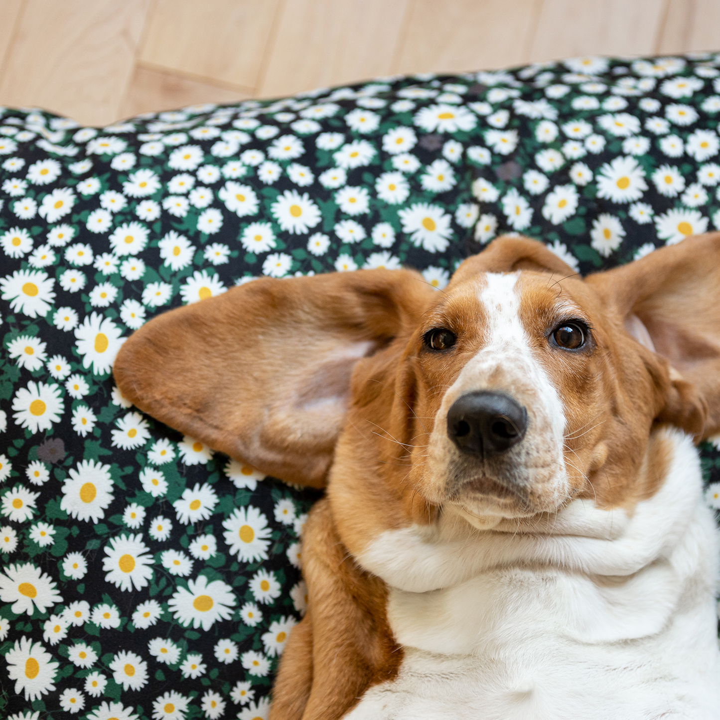 Cloud pillow stylish spare cover 2 sizes BeOneBreed