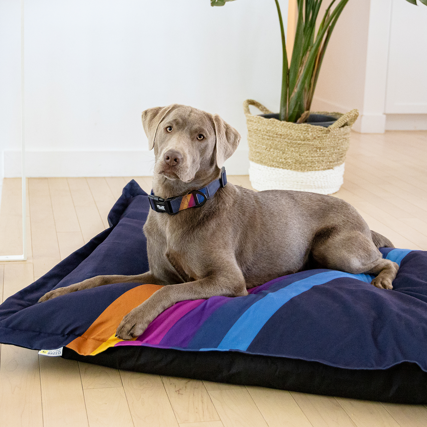 Supplementry cloud dog bed cover, nostalgia