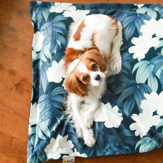 Supplementry cloud dog bed cover