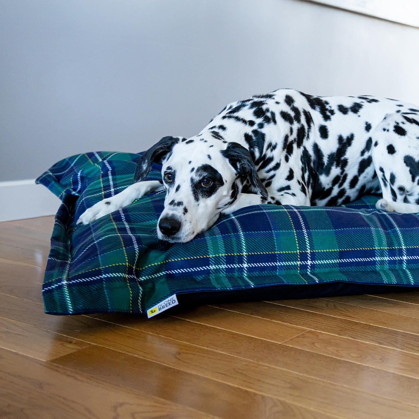 Supplementry cloud dog bed cover, varsity plaid