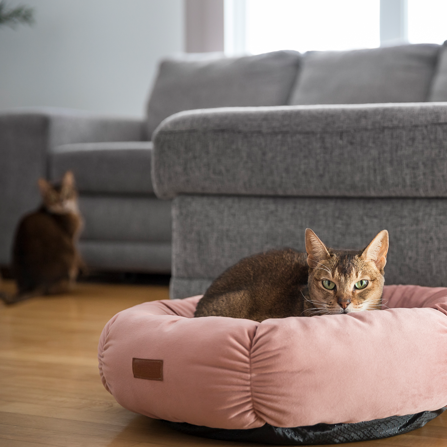 Round velvet bed for cat and small dog, pink