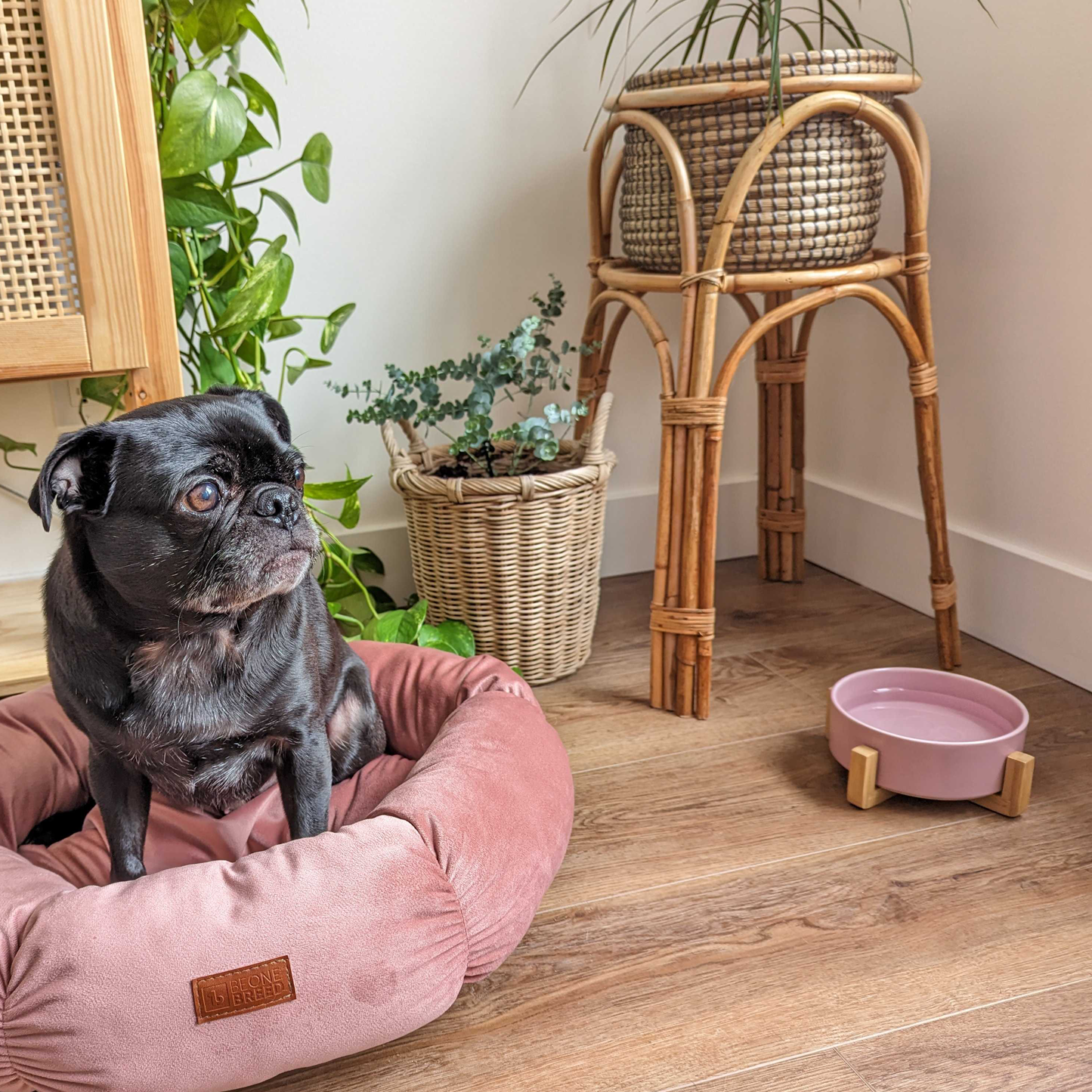 Blush pink dog hot sale bed