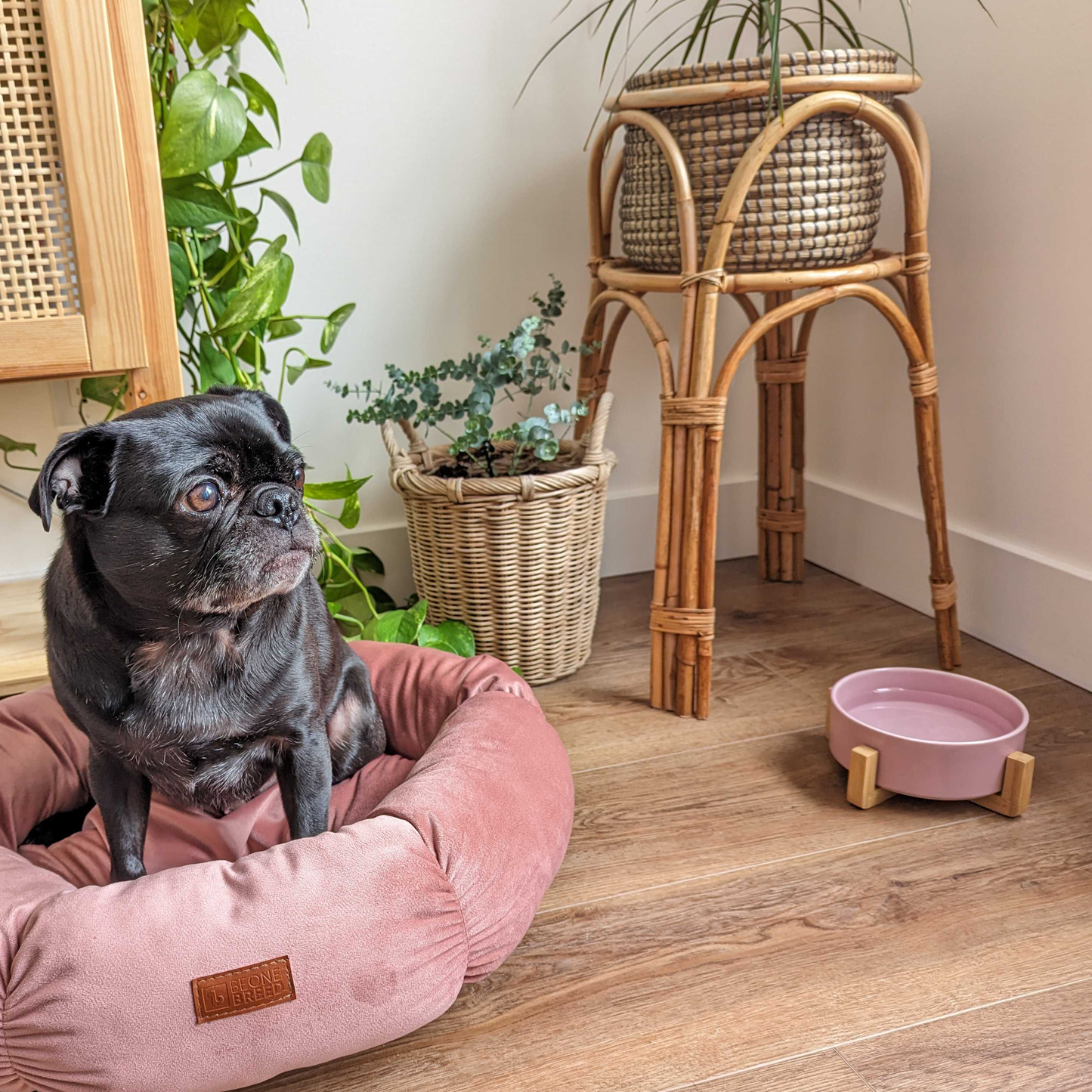 Round velvet bed for cat and small dog, pink