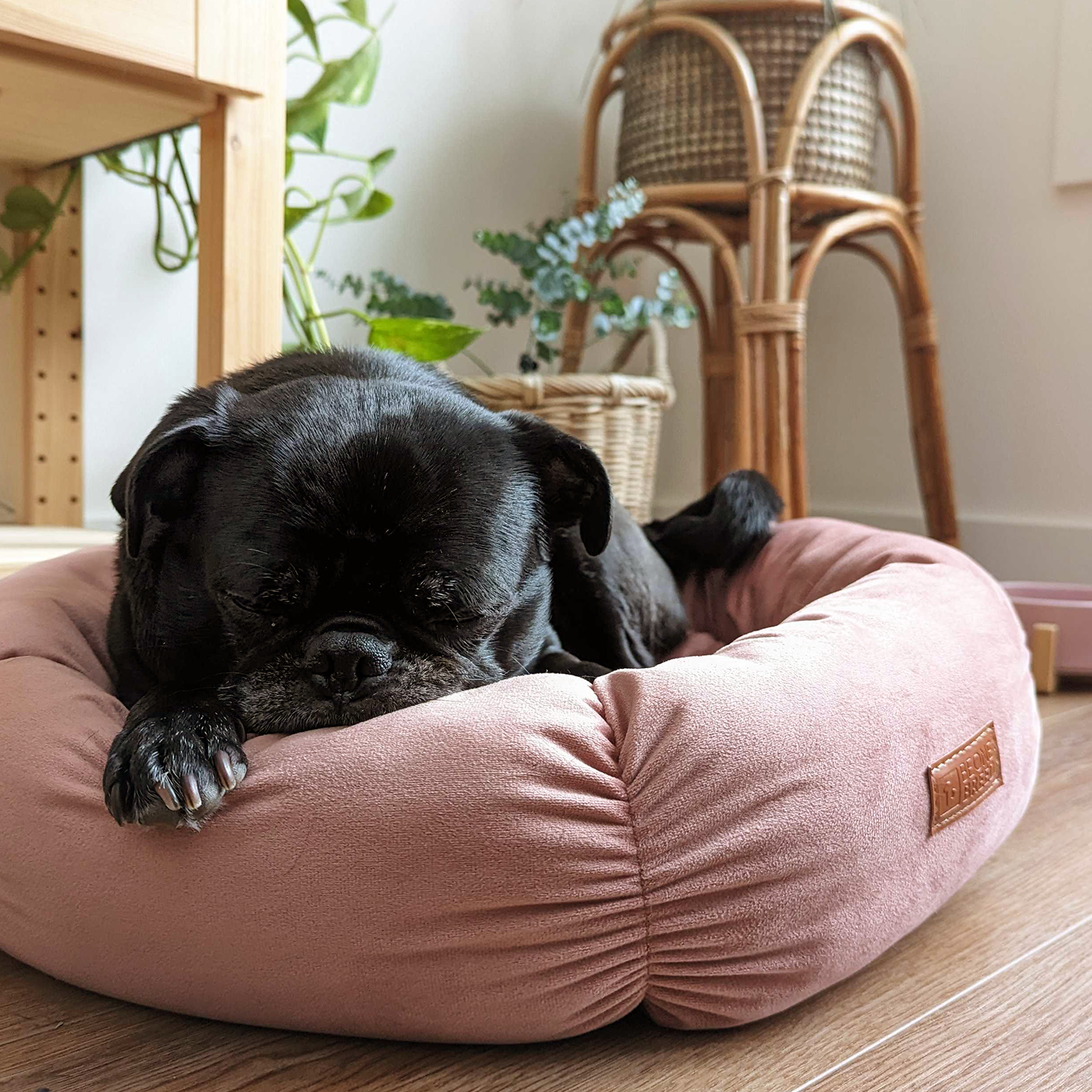 Round velvet bed for cat and small dog, pink