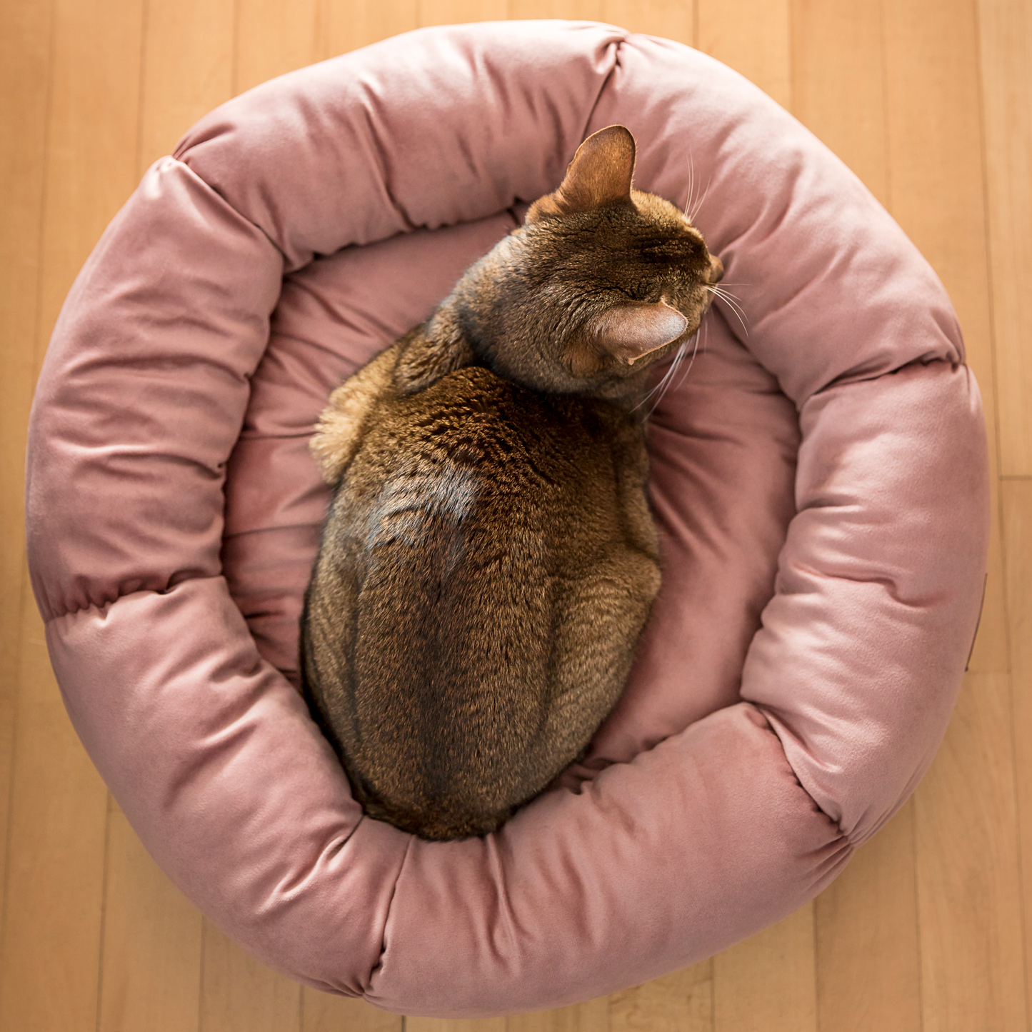 Round velvet bed for cat and small dog, pink