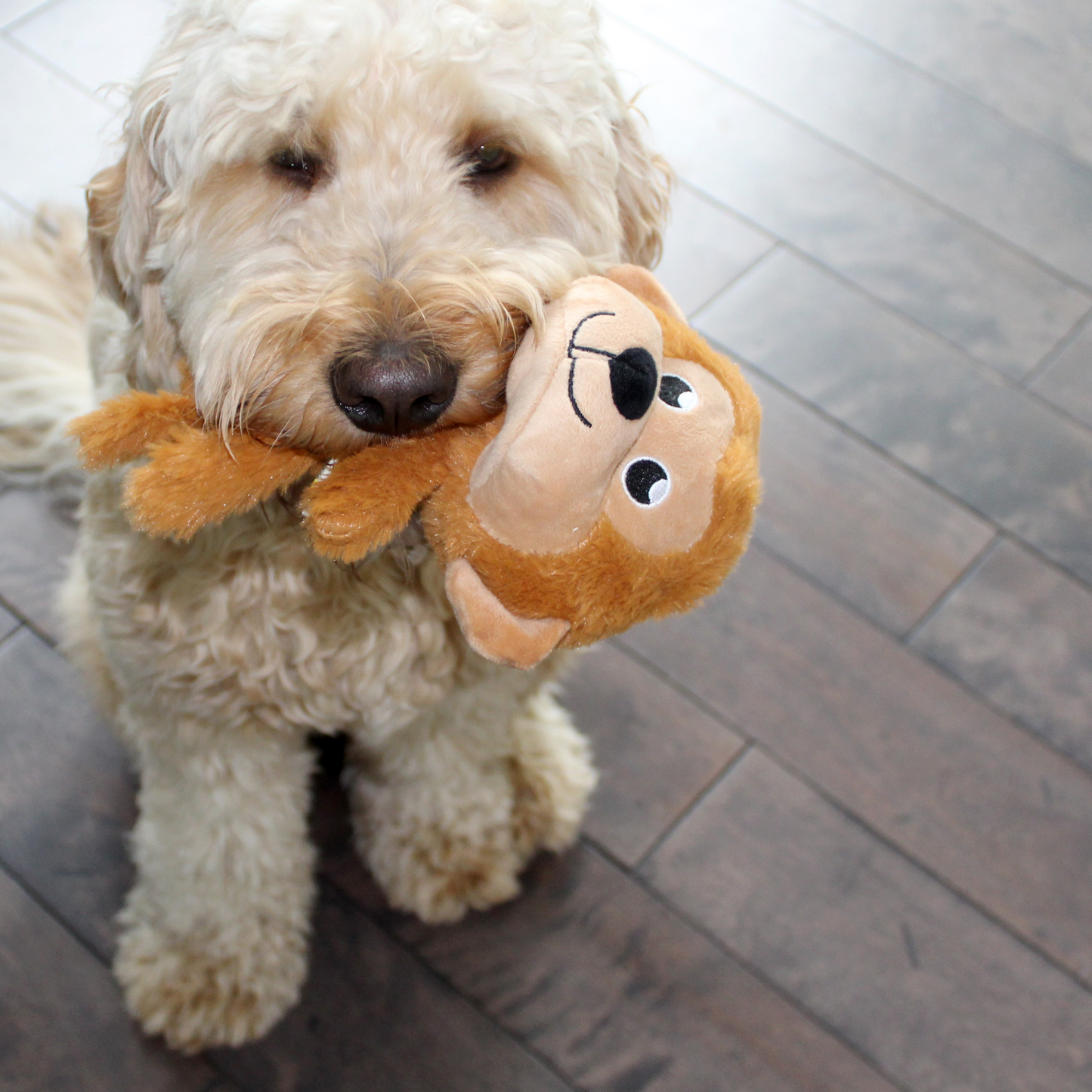 Goldendoodle puppy stuffed animal on sale